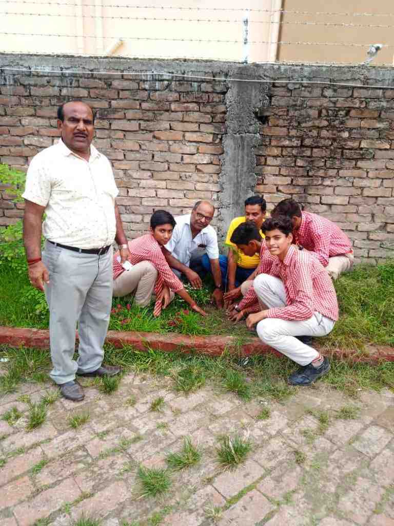 Planting of trees conducted by our seniour students on 28-July-2022 on the eve of World Nature Conservation Day OR <strong>HARIYAL AMAWASYA</strong>